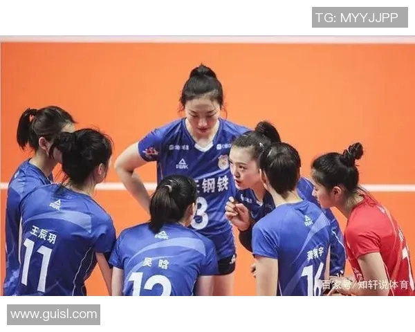 武汉排球队的运营揭秘：深度分析与发展策略探讨