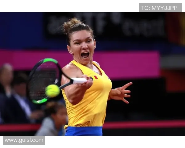 联合会杯积分榜：武汉网球队以78分领跑